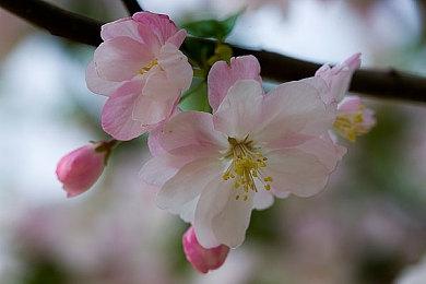 横版战斗武侠RPG《刀剑江湖路》新地图新武器现已上线